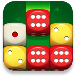 Dice Puzzle